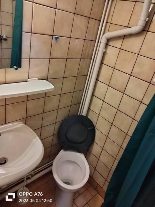 Le Nid Douillet Industriel Daire La Bourboule Dış mekan fotoğraf
